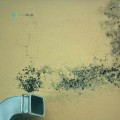 Air Filters for Mold-Filled Environments: What You Need to Know