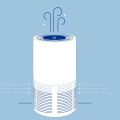 The Science Behind How Air Filters Work in a House and Why Regular Replacements Matter
