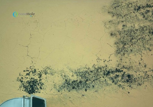Air Filters for Mold-Filled Environments: What You Need to Know