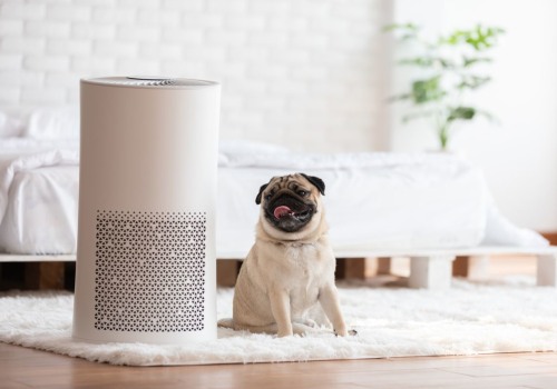 How to Choose the Best Air Filter for Pet-Filled Homes